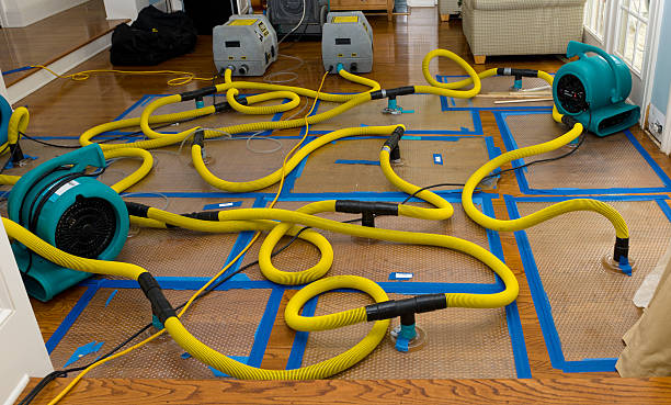 Professional Structural Drying And Dehumidification technician working in Layton, UT